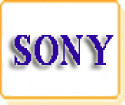 Sony Digital Camcorder Battery by Model Numbers