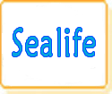 Sea & Sea Sealife Charger by Model Numbers