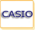 Discontinued Casio Digital Camera Batteries